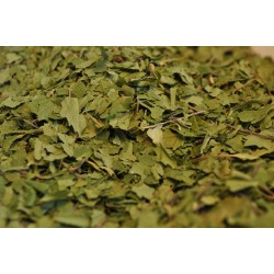 Betulla - foglie