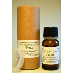 Olio essenziale di tuia