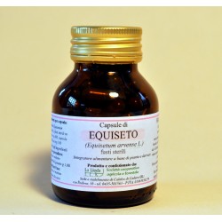 Equiseto (fusti sterili) -...