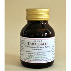 Tarassaco (pianta intera) -...
