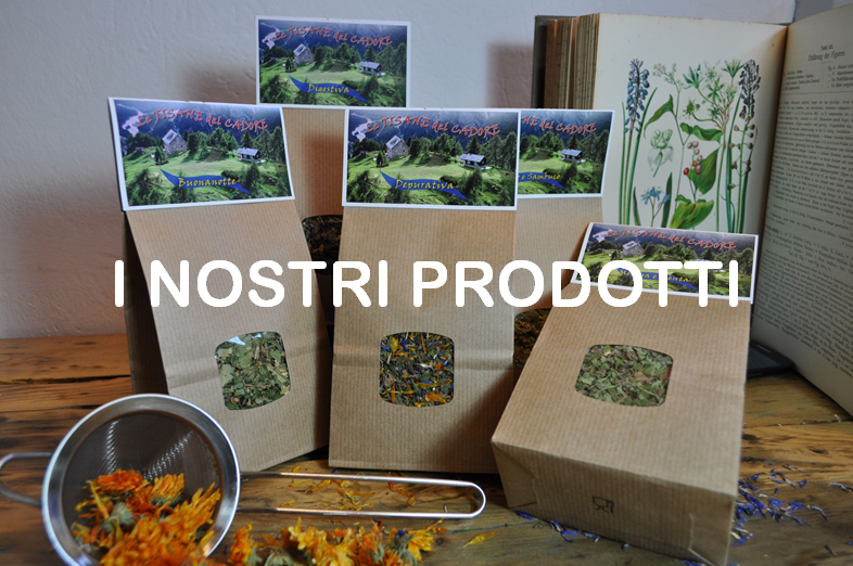 I nostri prodotti