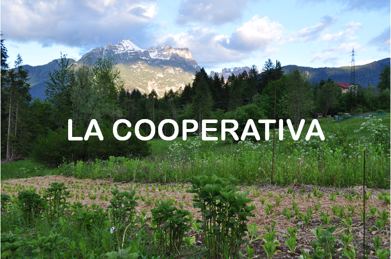 La Lioda Società Cooperativa Agricola e Forestale